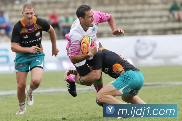 乐竞电竞服务体系